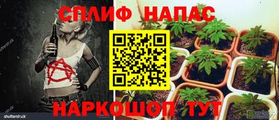 винт Моздок